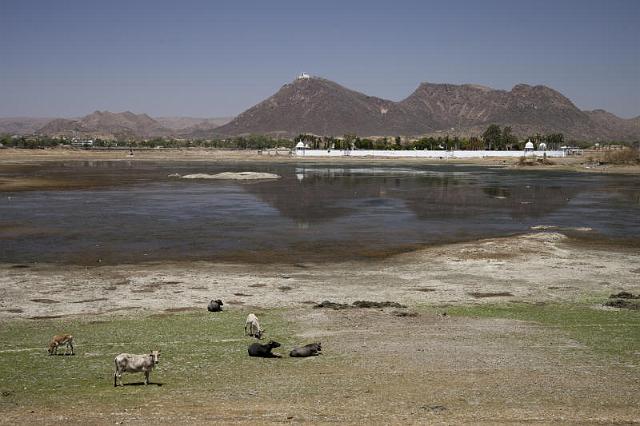 226 Udaipur, Pichola Meer.jpg